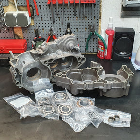 Motorlager-Set für KTM EXC 520/525/530
